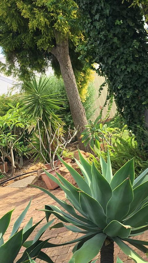 Armadale Cottage Bed & Breakfast - Tourism TAS 1