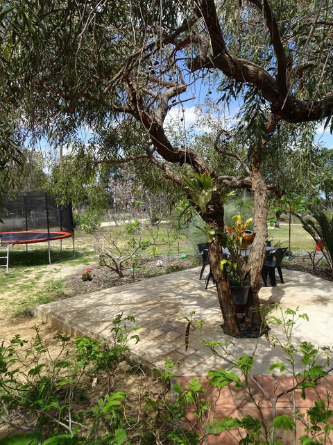 Majestichomestead B&B - Tourism TAS 7