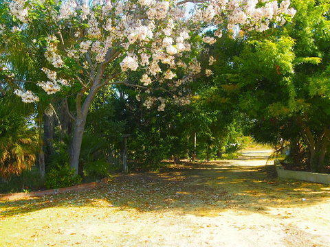 Majestichomestead B&B - Tourism TAS 33