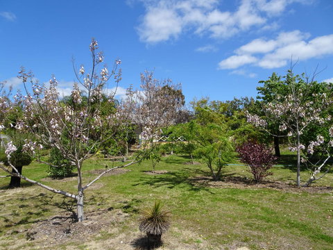 Majestichomestead B&B - Tourism TAS 27