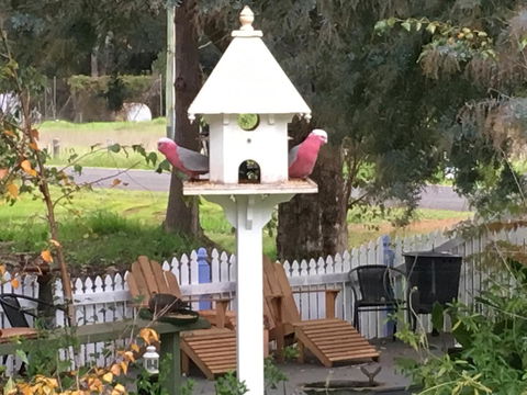 Applegate Lane Chalet - Tourism TAS 25