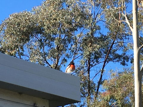 Applegate Lane Chalet - Tourism TAS 27