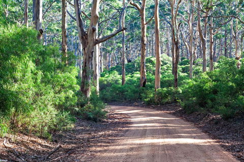 Margaret River Retreat - Hobart Tourism 20