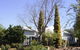 Jacaranda Guest House - thumb 37