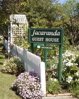 Jacaranda Guest House - Hobart Tourism 43