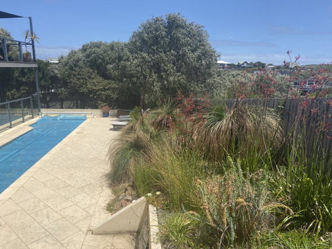 Rockpool - Tourism TAS 26