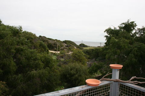 Peppy Beach Ocean Views - Hobart Tourism 8