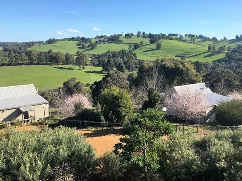Balingup Highview Chalets - Tourism TAS 5