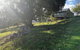 Balingup Highview Chalets - thumb 18