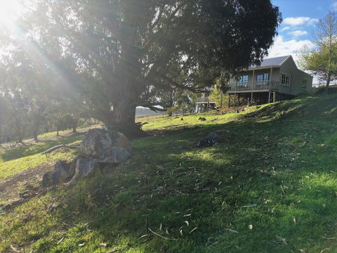 Balingup Highview Chalets - Tourism TAS 18