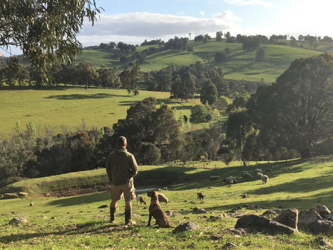 Balingup Highview Chalets - Tourism TAS 27