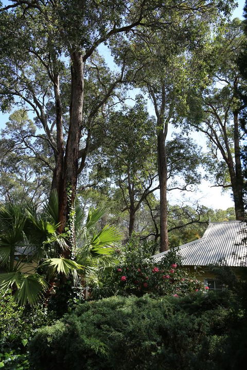 Two Sisters Chalets - Tourism TAS 33