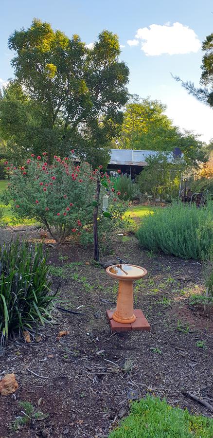 Di's Cabin In Dwellingup - Hobart Tourism 14