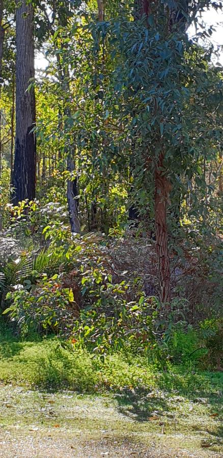 Di's Cabin In Dwellingup - Hobart Tourism 8
