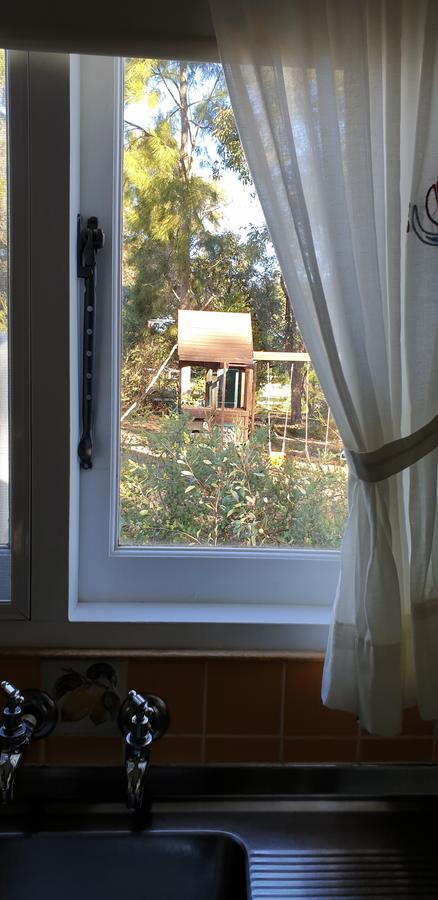 Di's Cabin In Dwellingup - Hobart Tourism 15