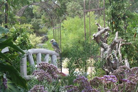 Rosebridge House Bed & Breakfast Adult Retreat - Tourism TAS 12