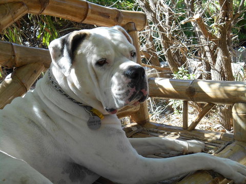 Moore River Cottage - Tourism TAS 19