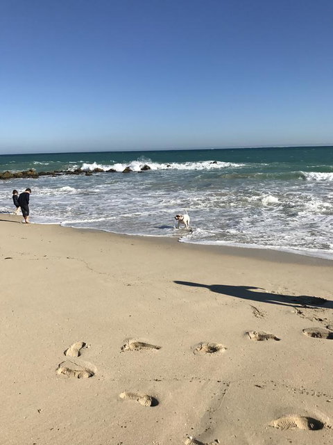 Moore River Cottage - Tourism TAS 13