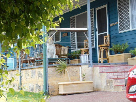 Moore River Cottage - Tourism TAS 2