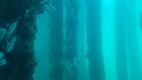 Indoyo Retreat - Tourism TAS 28