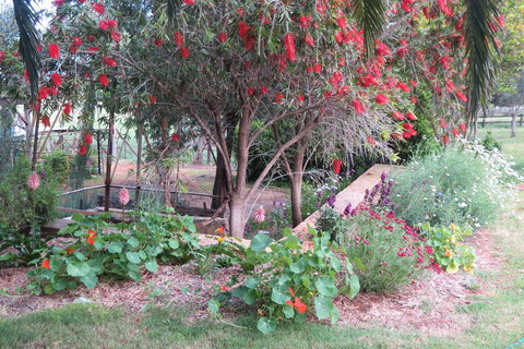 Bentwood Olive Grove Accommodation - Tourism TAS 21