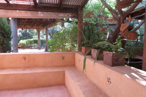 Bentwood Olive Grove Accommodation - Tourism TAS 10