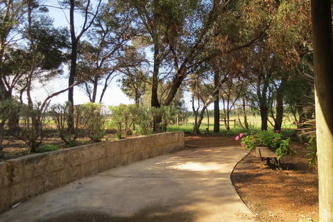 Bentwood Olive Grove Accommodation - Tourism TAS 2