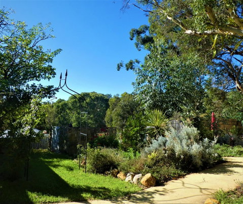 Treetops Cottage - Tourism TAS 14