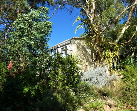 Treetops Cottage - Tourism TAS 13