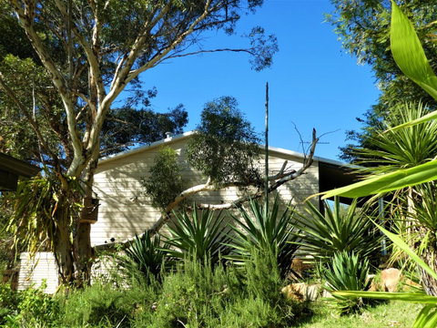 Treetops Cottage - Tourism TAS 4