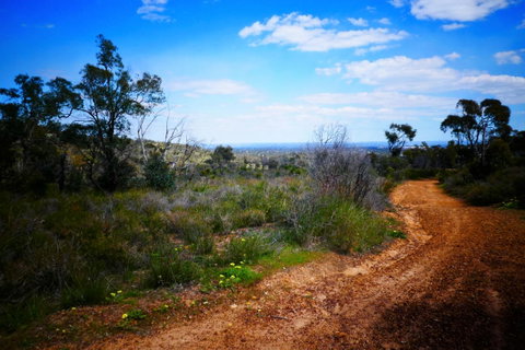 Treetops Cottage - Tourism TAS 35