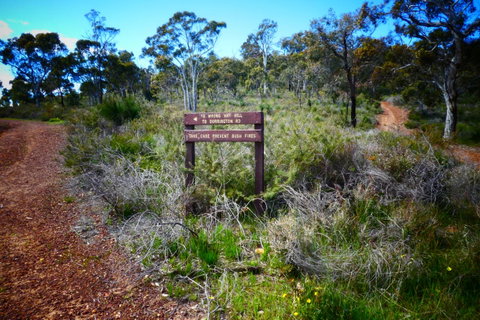 Treetops Cottage - Tourism TAS 34
