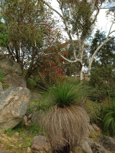 Treetops Cottage - Tourism TAS 26