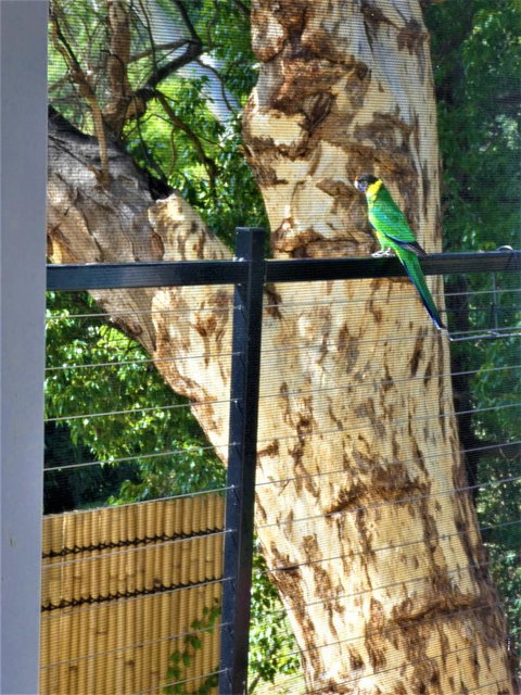 Treetops Cottage - Tourism TAS 27