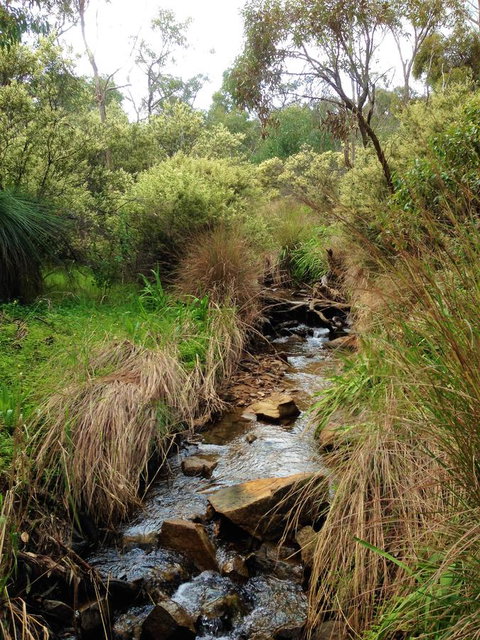 Treetops Cottage - Tourism TAS 22