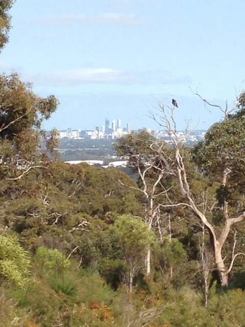 Treetops Cottage - Tourism TAS 38