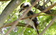 Treetops Cottage - thumb 32