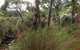 Treetops Cottage - thumb 24