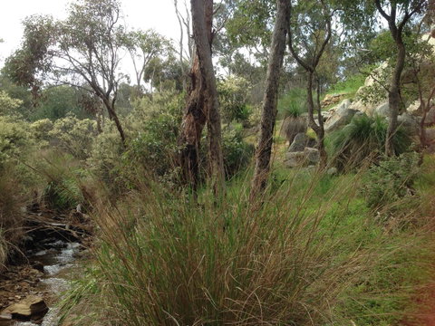 Treetops Cottage - Tourism TAS 24