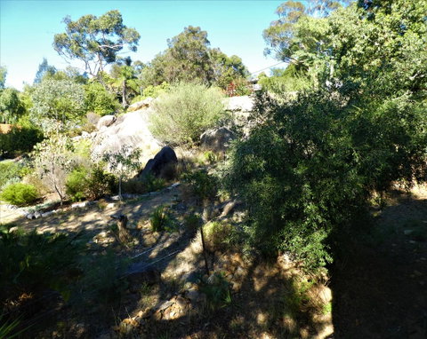 Treetops Cottage - Tourism TAS 11