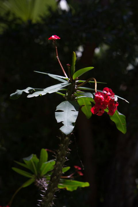 Par La Mer - Hobart Tourism 22