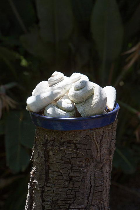 Par La Mer - Hobart Tourism 23