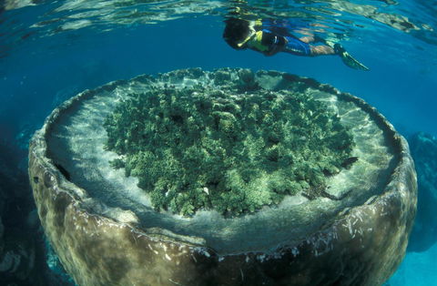 Sal Salis Ningaloo Reef - Tourism TAS 8