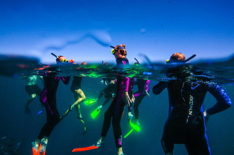 Sal Salis Ningaloo Reef - Tourism TAS 26