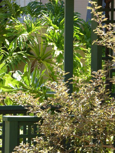 Kalbarri Beach Resort - Tourism TAS 32