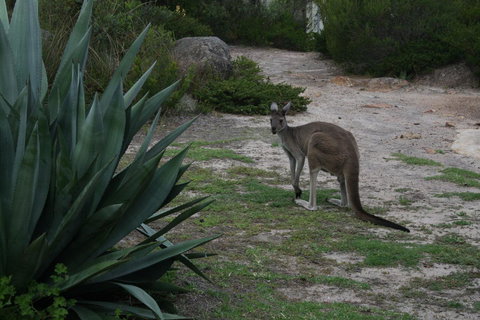 Aqua Views - Tourism TAS 15