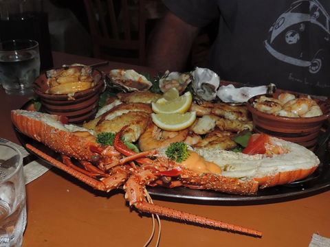 Wildsights Villas - Tourism TAS 13