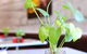 Bunbury Hotel Koombana Bay - thumb 20