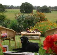 Silversprings cottages - Hobart Tourism