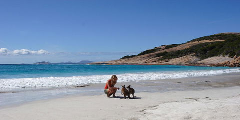 Esperance YHA - Hobart Tourism 19